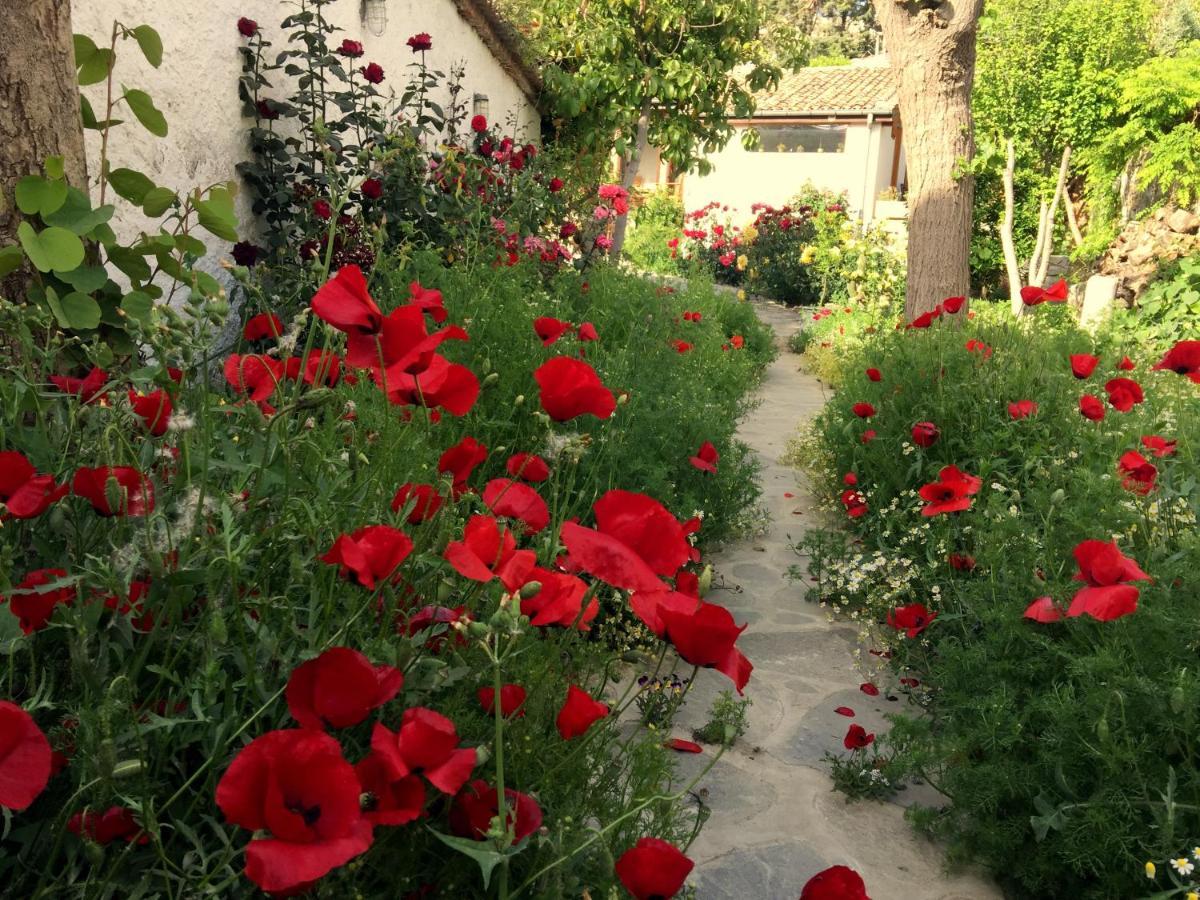 Garden House Villa Selcuk Exterior photo